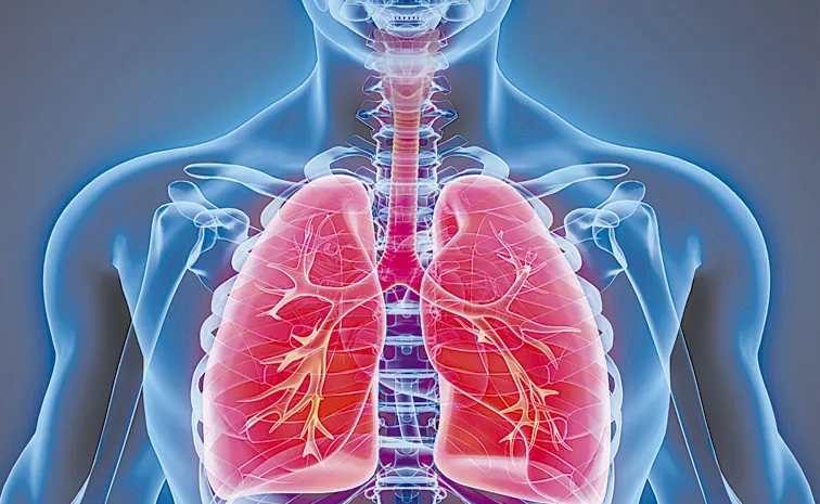 You May Look Healthy: But Your Lungs Could Be in Trouble