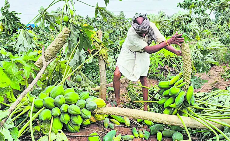 పెట్టుబడి గల్లంతు!
