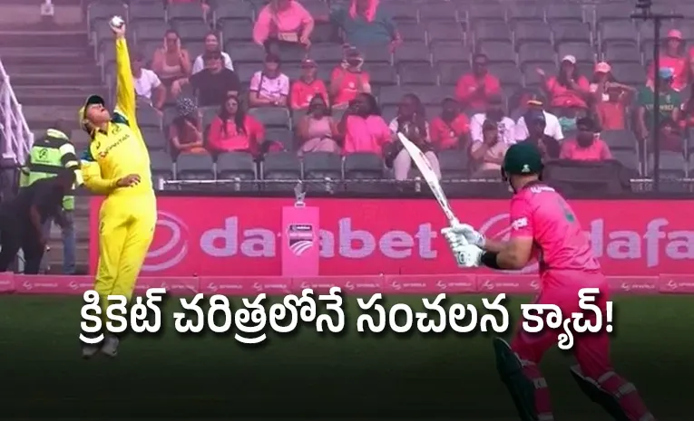 ఏం క్యాచ్ రా బాబు.. కళ్ళు మూసి తెరిచేలోపే! వీడియో వైరల్‌