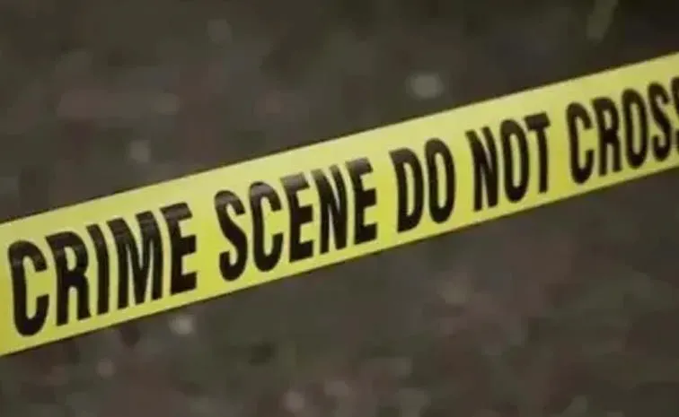 Lorry driver assassinated his wife and mother in law