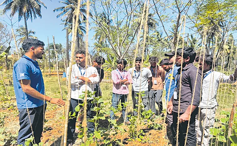 సేంద్రియ వ్యవసాయంలో ఆచరణాత్మక ఉచిత శిక్షణ