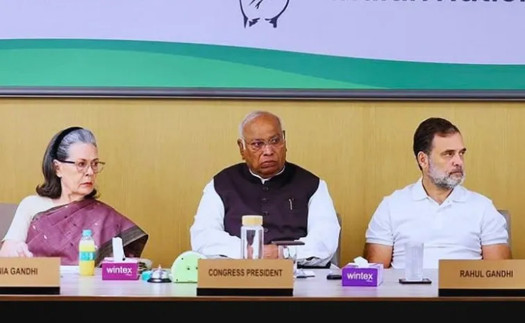 Mallikarjun Kharge Comments In CWC meeting