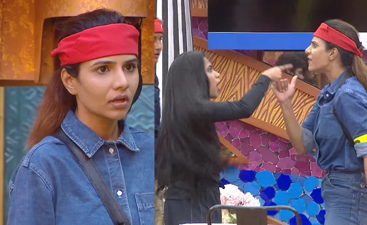 Bigg Boss 10 Telugu Day 22 Episode Highlights
