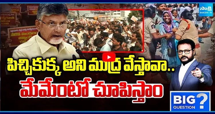 పిచ్చికుక్క అని ముద్ర వేస్తావా.. మేమేంటో చూపిస్తాం
