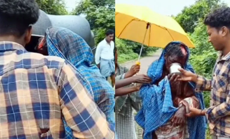 Bears Attack On A Man In Kumuram Bheem Asifabad district 