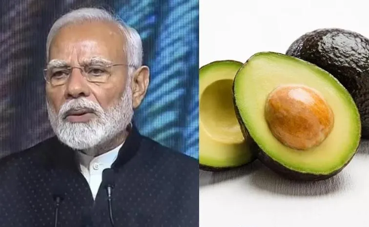 Health Tips: PM Modi Spoke On How Avocado Can Become A Health Staple