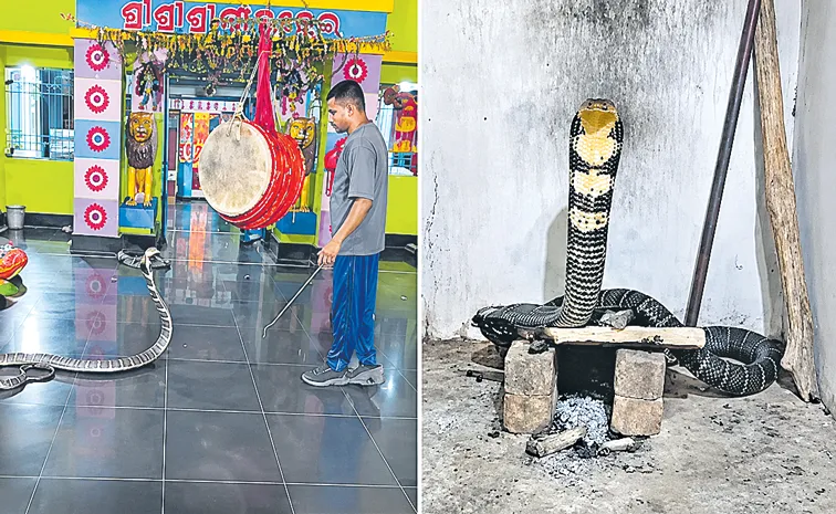 cobra Priest gets an unexpected shock upon opening temple doors