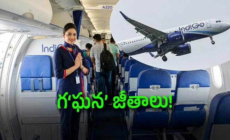 IndiGo Cabin Crew Salary 2026 How Much Flight Attendants Earn India