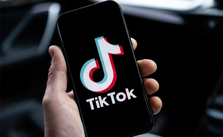TikTok Follower Fight Between Sisters In Pakistan