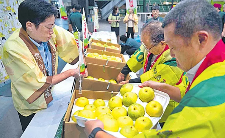 Japan Tottori Pear Fruit Record Auction