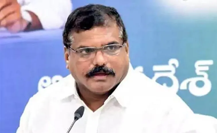 Ysrcp Leader Botsa Satyanarayana Fires On Chandrababu