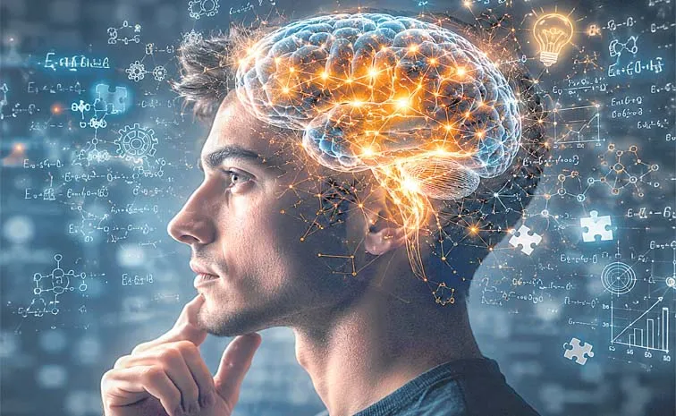 Brain Facts Things Your Brain Does Without You Knowing