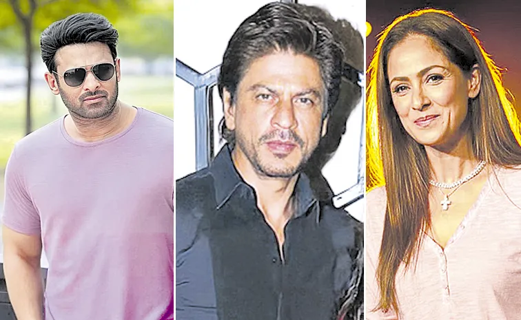 Teacher Roles Set to Add New Dimension to Upcoming Films