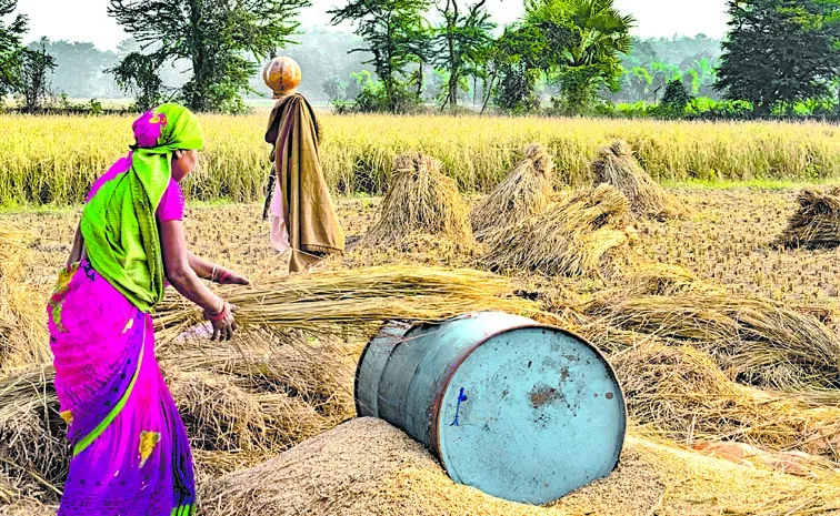 The story of our tenant farmers over the decades