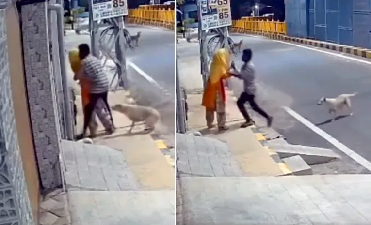 Dog Saved In Women