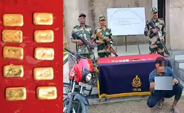 BSF arrests Bangladeshi national with over Rs 17 cr worth gold biscuits at WB border