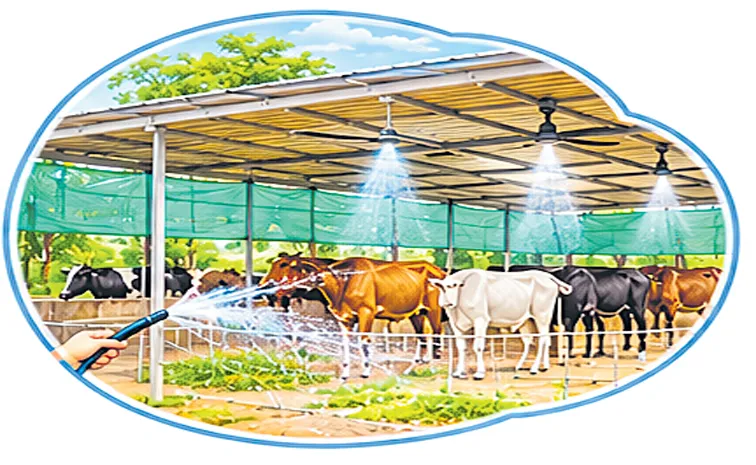 సూపర్‌ ఎల్‌నినో వేళ... పశుసంపద సంరక్షణ ఇలా!  