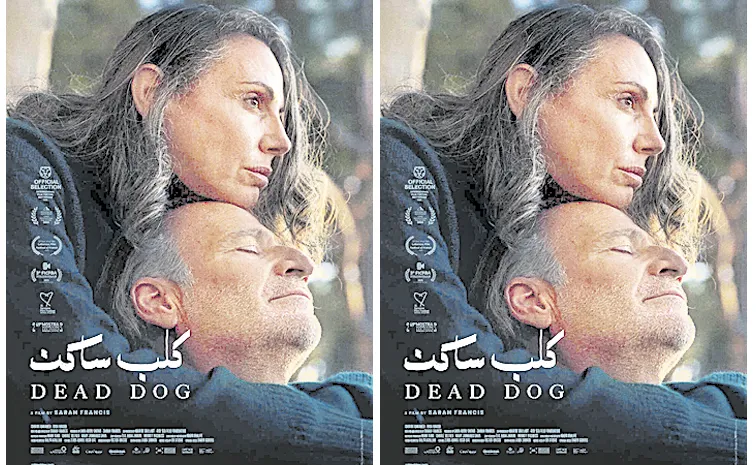 Kashmir Hosts Inaugural International Film Festival