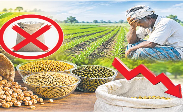 Chandrababu Govt: No sign of subsidized seeds for Rabi season