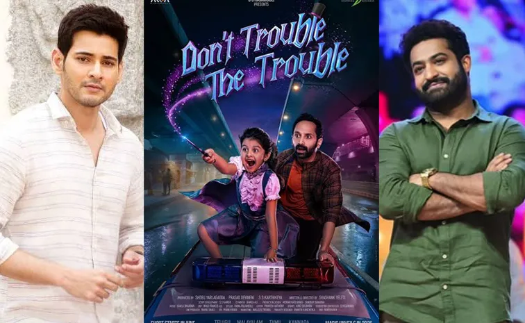 Mahesh Babu NTR About Review For Dont Trouble Trouble Movie