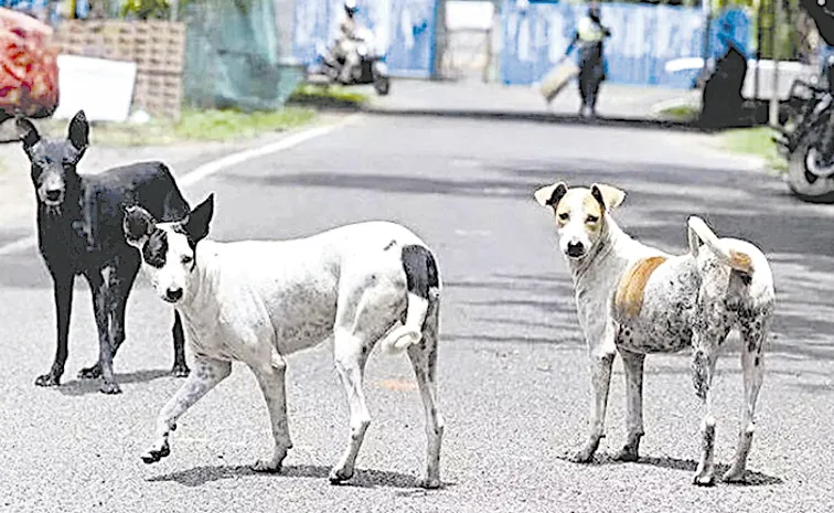 Telangana Allows Mercy Killing of Rabid Dogs