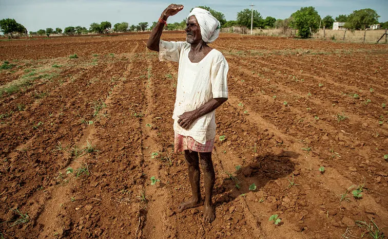 Super El Nino Threat Food Industry Warns of Massive Supply Shock