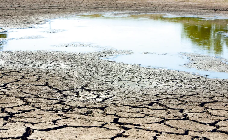 Groundwater levels drop across all districts in September