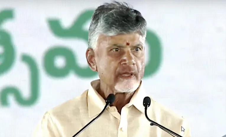 CM Chandrababu Fire On Minister Swami