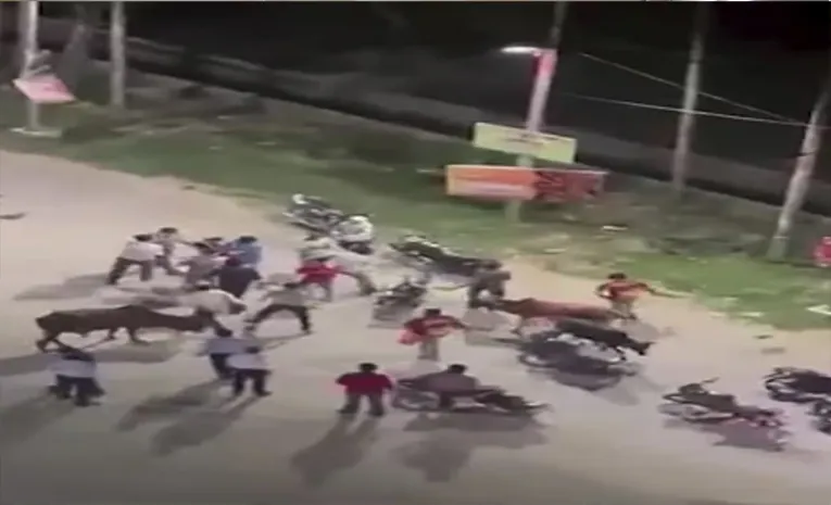Delivery Riders Fight order Dispute