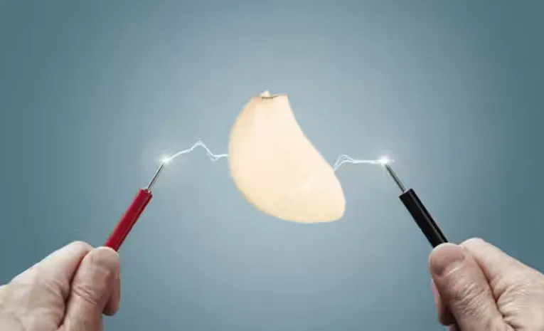 Generate Electricity Garlic Peel Waste