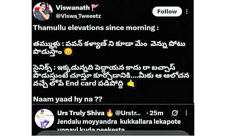 Pawan Kalyan comments that sparked controversy
