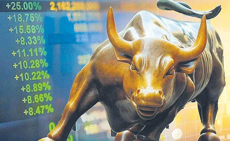 The domestic stock market rebounded strongly following Nirmala Sitharamans remarks