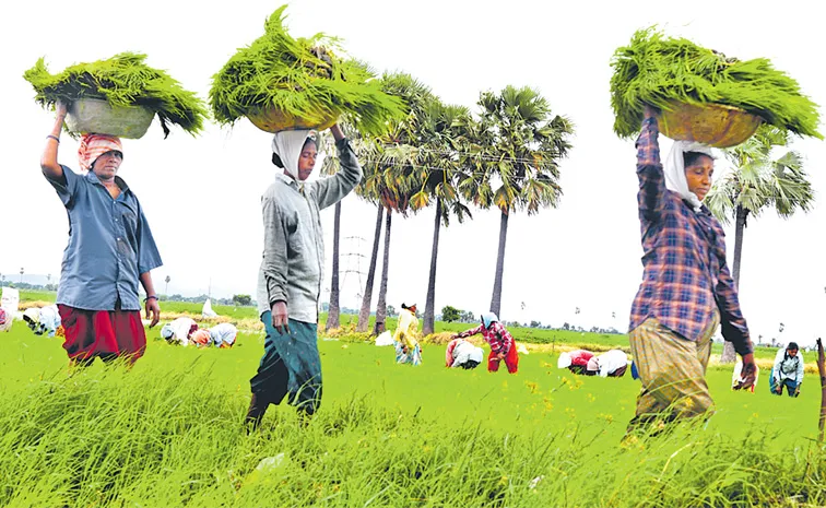 మహిళా రైతులే ప్రగతి సారథులు !  
