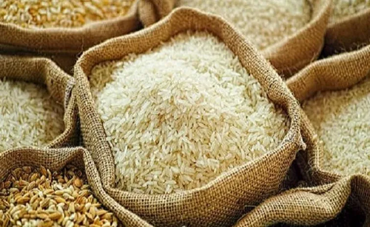 India rice exports may fall to 24 million tonnes in 2027