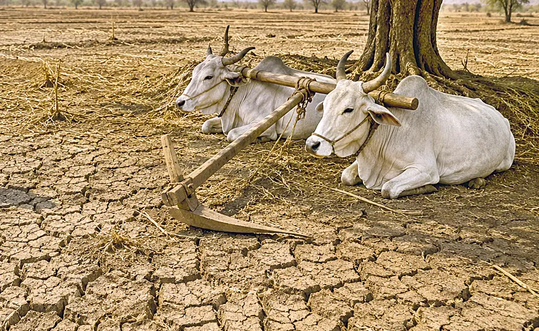 Telangana Govt Urges Farmers to Conserve Water by Skipping Yasangi: Crop Holiday