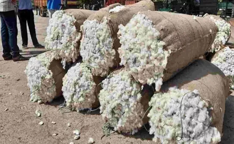High Demand for Cotton This Season: Telangana