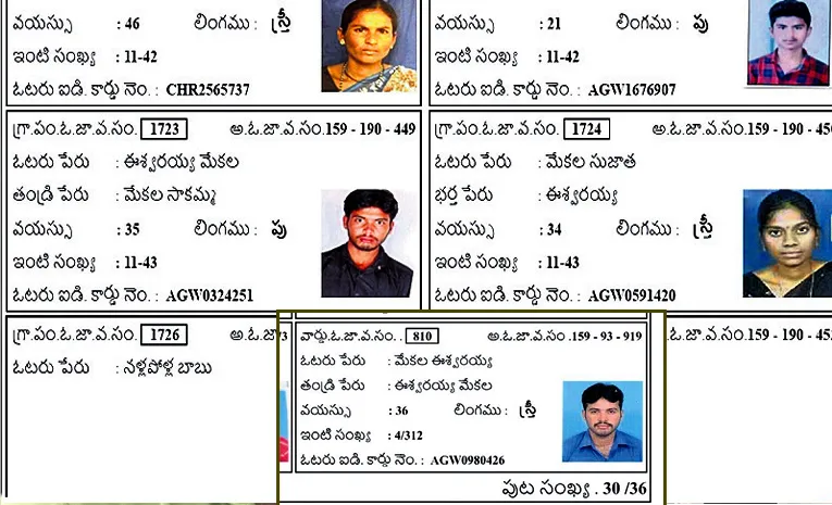 Two Votes In Janasena Party Leader 