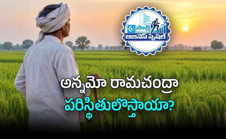 Rice Price Hike in India Why Grain Bowl Empty for Farmers