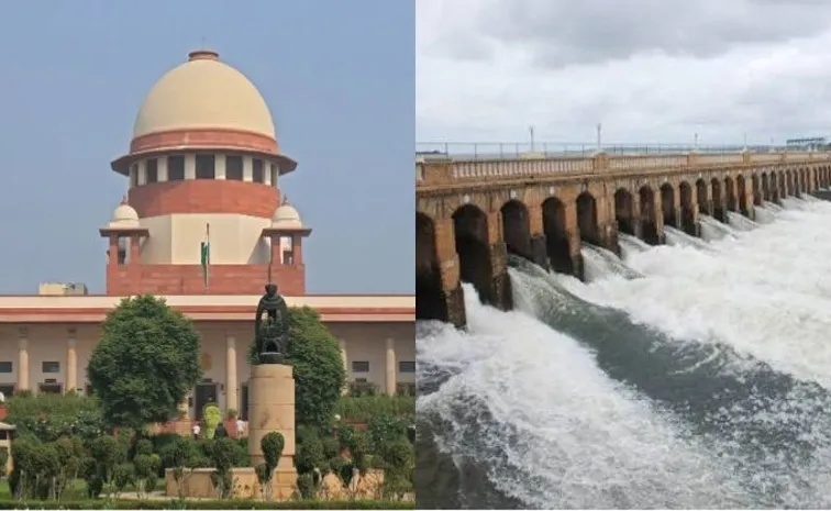 Supreme Court mandates ground-truthing and demarcation of wetlands