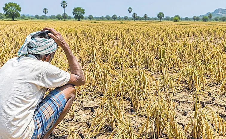 Telangana seeks Centre relief amid drought