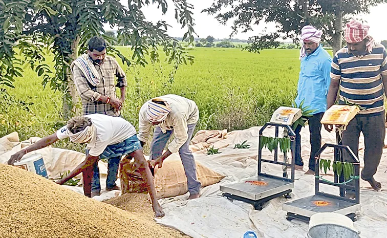 కొర్రీలు పెట్టకుండా కొనేస్తున్నారు