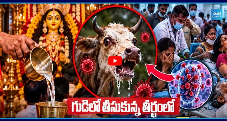 గుడిలో తీసుకున్న తీర్థంలో ప్రాణాంతక వైరస్? 