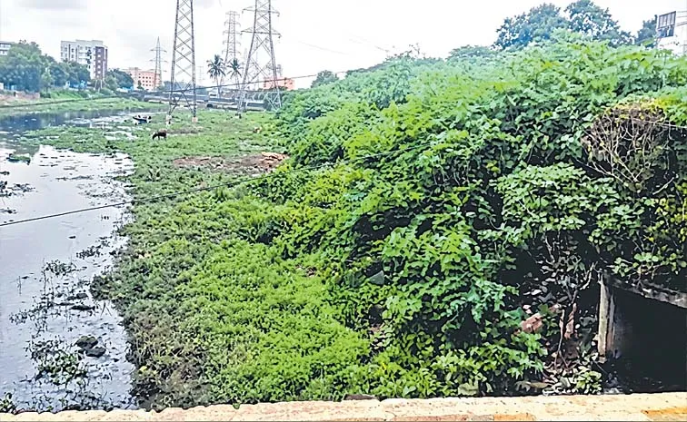 Andhra Pradesh Godavari Delta Drainage Flooding Farmers