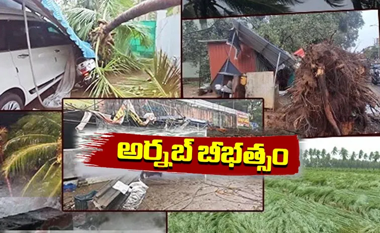 Andhra Pradesh: Cyclone Arnab October 28 2026 Updates