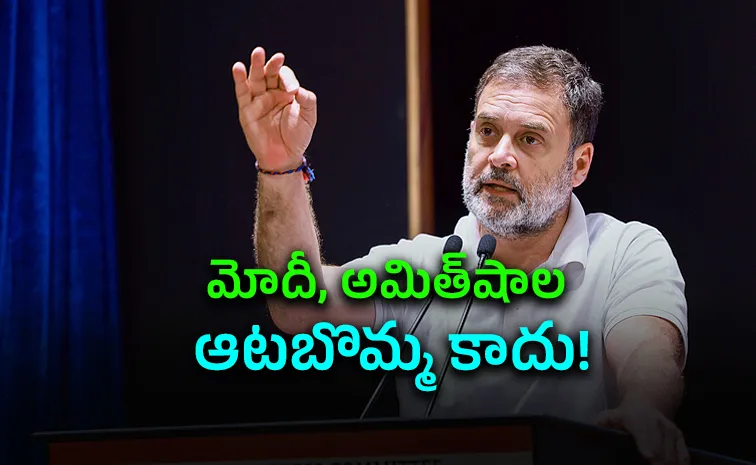 ‘టాటాను నాశనం చేస్తున్నారు’.. రాహుల్ గాంధీ ఫైర్!