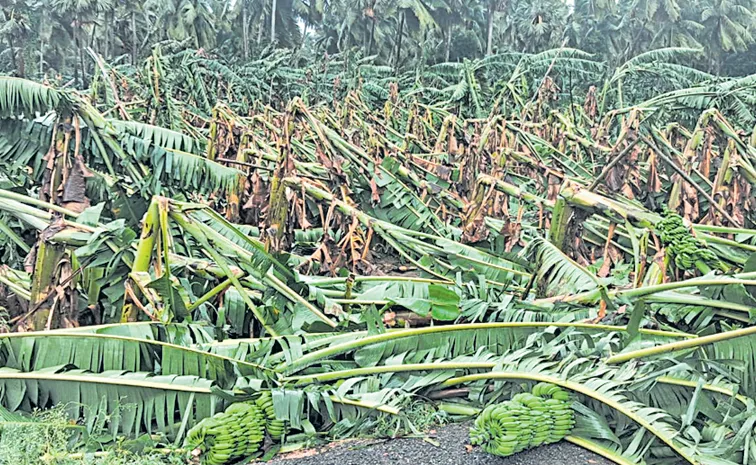 ‘అర్నబ్‌’ విలయం..కోస్తా కకావికలం