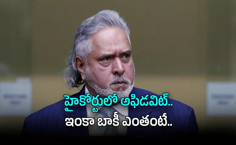 విజయ్ మాల్యా చెప్పేదంతా అబద్ధం.. అసలు నిజం ఇదే..