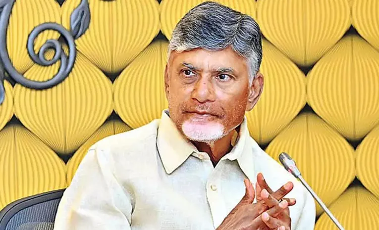 Narsapuram JanaSena MLA's Performance Draws Chandrababu's Criticism