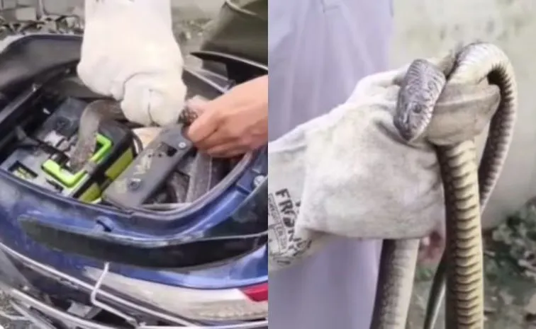 Parked scooter in Uttarakhand turns into hiding spot for 8 foot snake