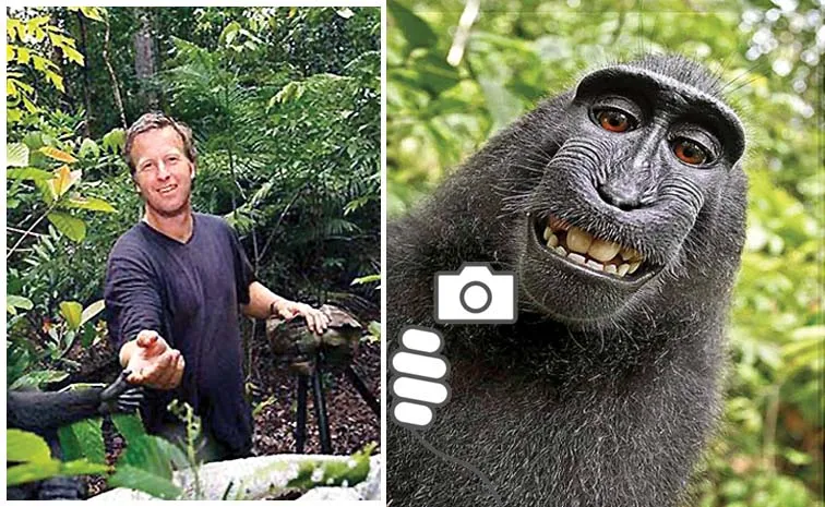 Funday Legal Story On Monkey Selfie Naruto Copyright Case Peta